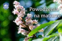 miniatura_matura