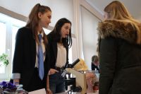IMG_6272