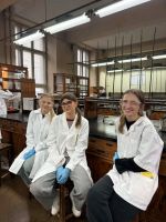 c529dd50-2de0-4764-a472-ac96162b3f60