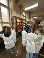 dcd8aedc-d896-40a0-8fc9-44e791cdfb35