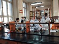 50a9fd94-79fa-4522-a3ff-a4d7184b0b23