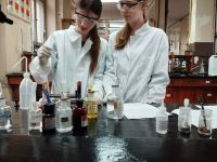 74a3cd70-0b64-4fe8-b23c-ee2d98fd607e