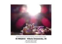 3_miejsce